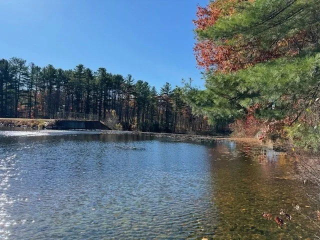 Photo of 130 Paxton Rd