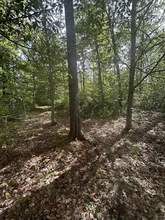 Photo of 531 Mason Rd