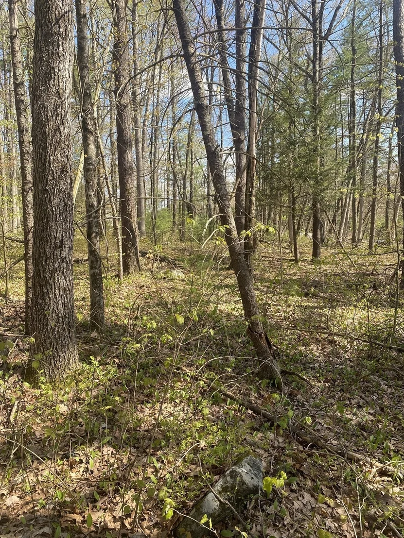 Photo of 395 Belchertown Rd