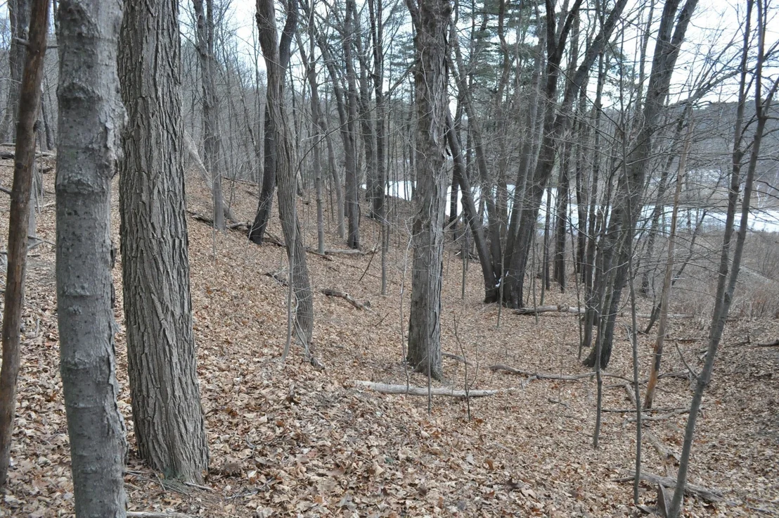 Photo of 1010 Ryan Rd