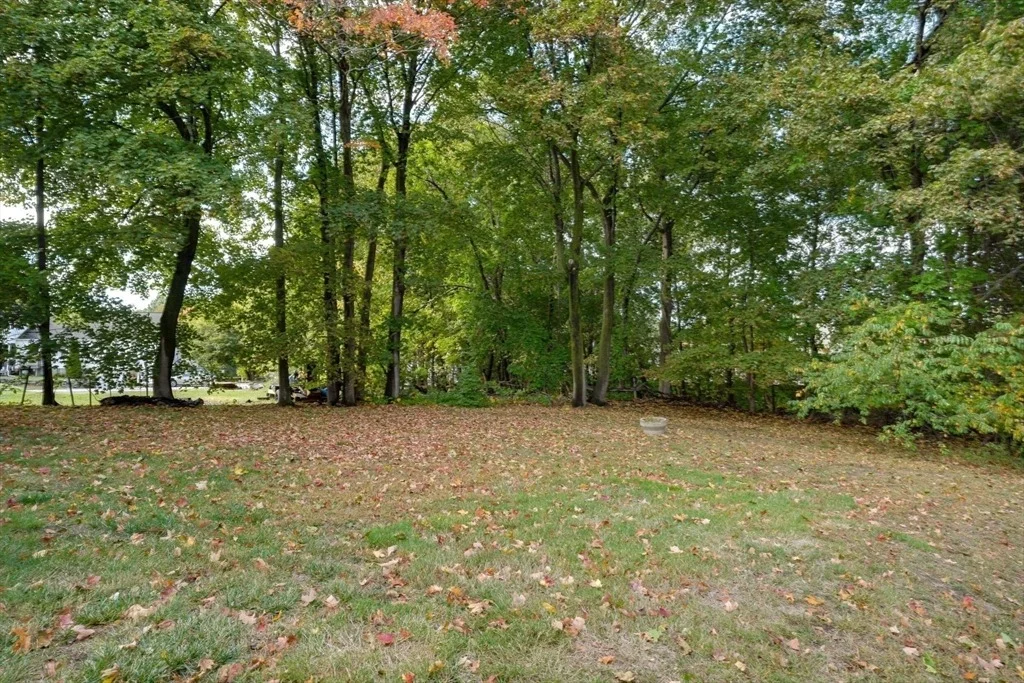 Photo of 18 Cottage Street