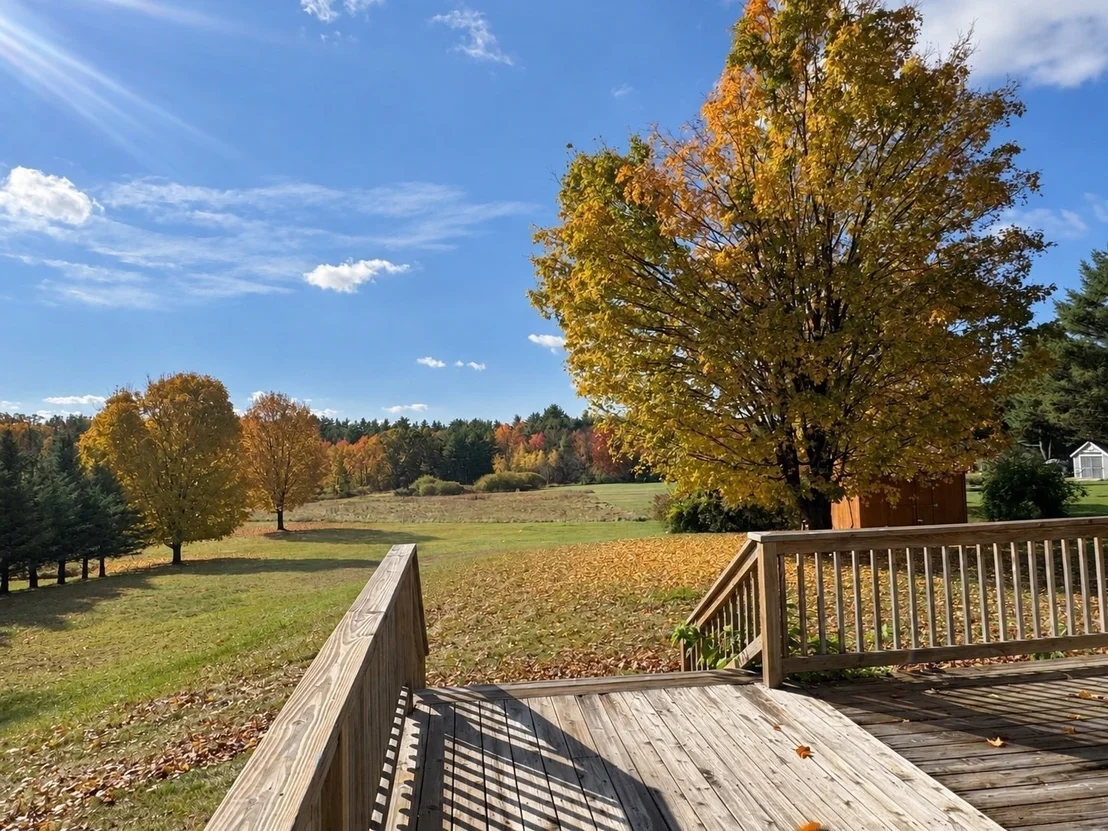 Photo of 274 Barton Road