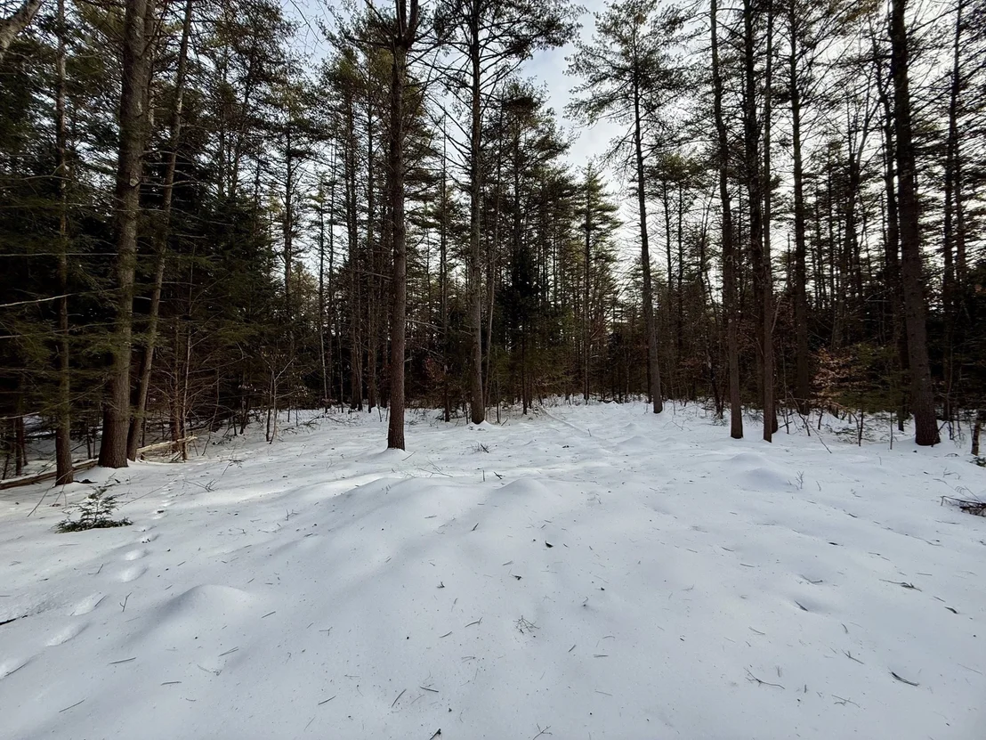 Photo of 0 Old Keene Rd