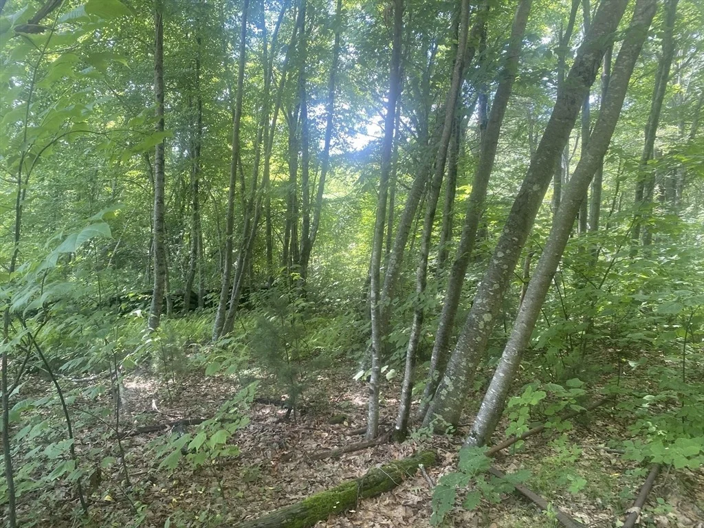 Photo of Tract 7 Delargy Rd