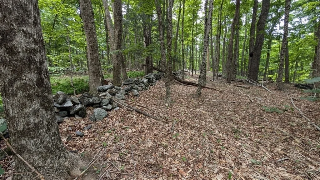 Photo of 951 West Rd