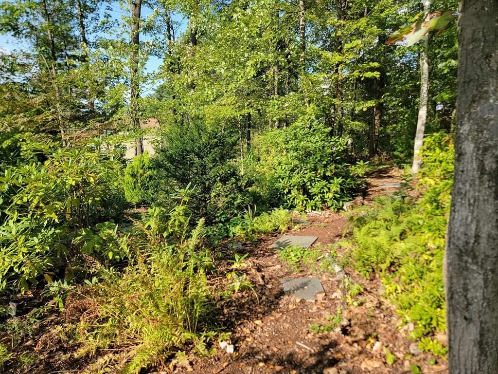 Photo of 30 Clearview Drive