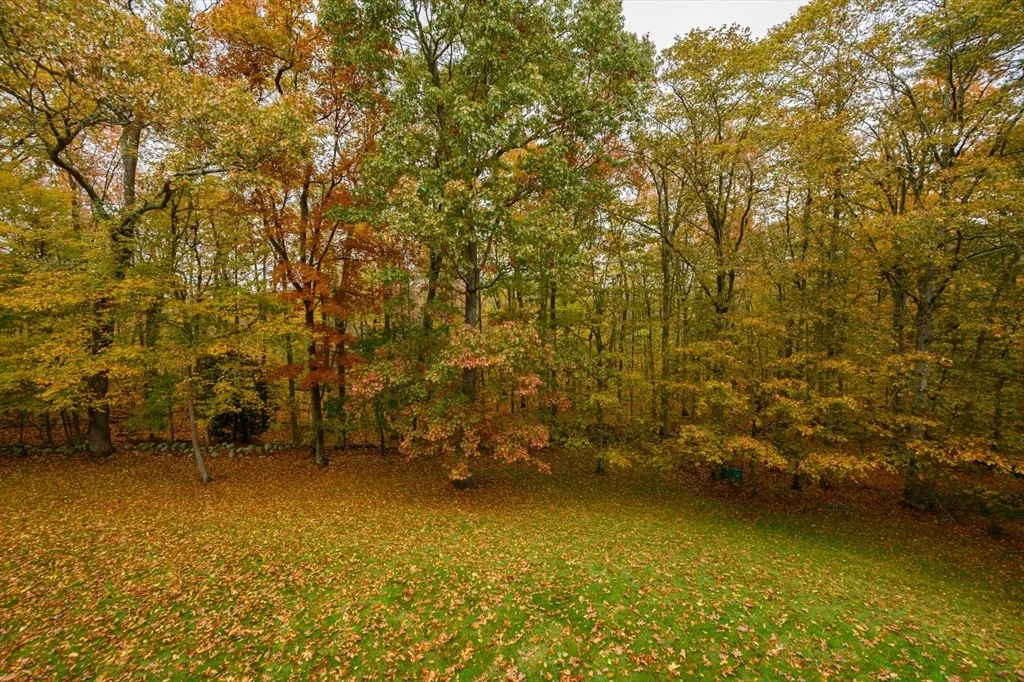Photo of 56 Paradise Dr