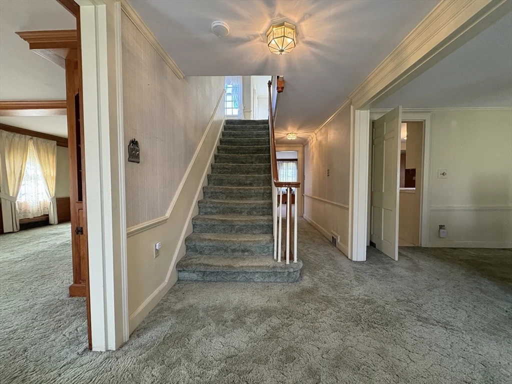 Photo of 11 Smith Street