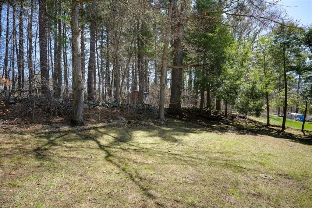 Photo of 49 Lanewood Ave