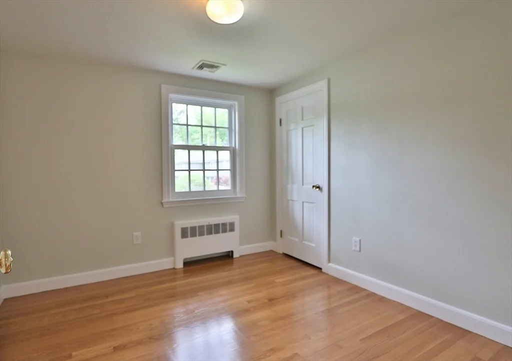 Photo of 19 Pine Needle