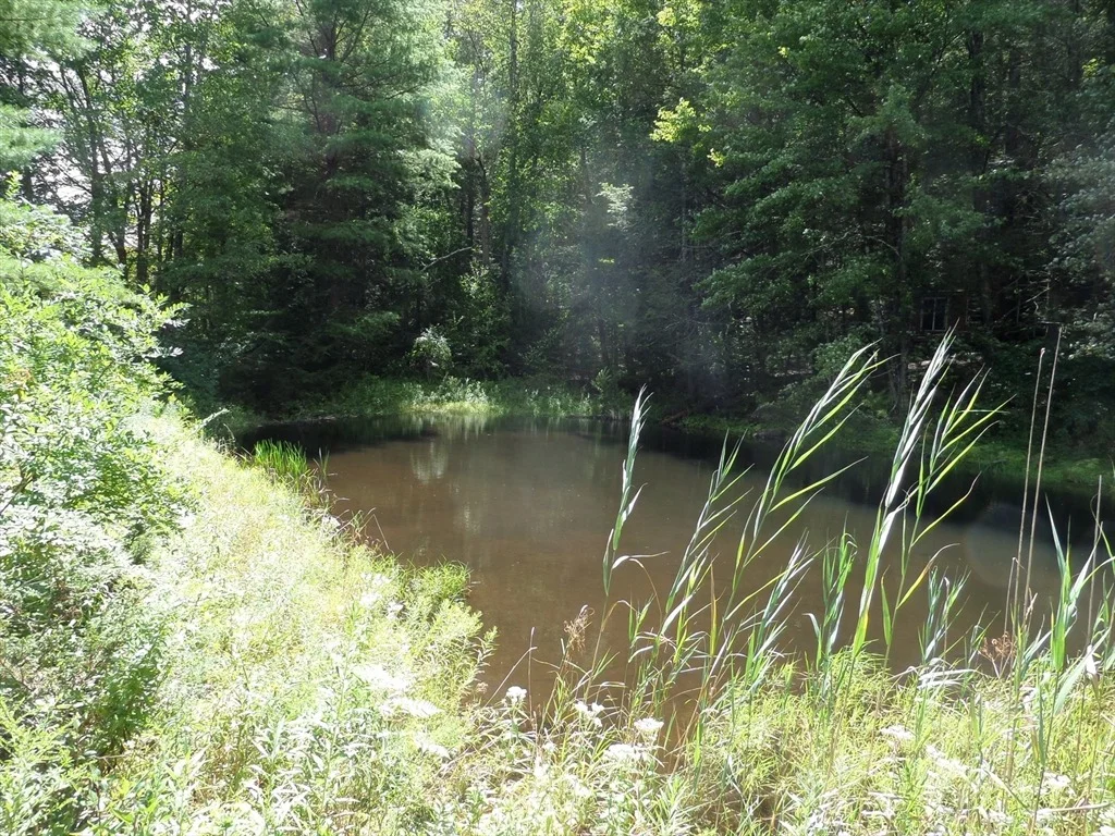Photo of 155 River Rd