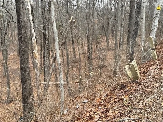 Photo of Lot 3 Gould Road