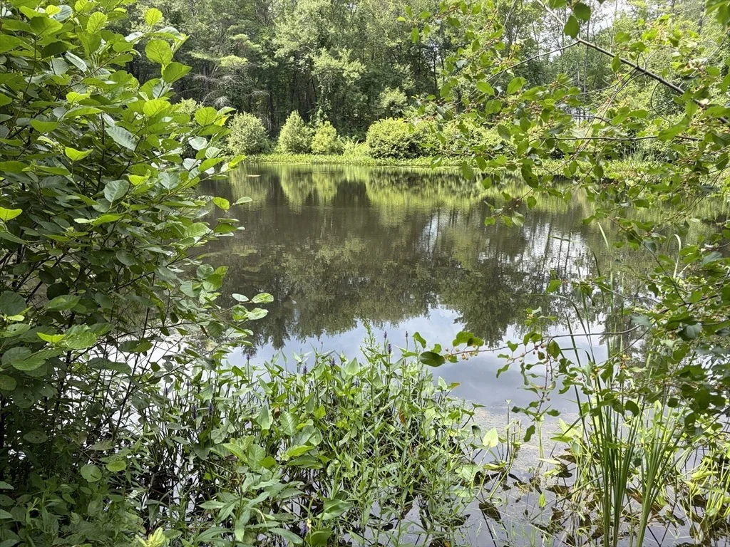 Photo of 0 Heald Road
