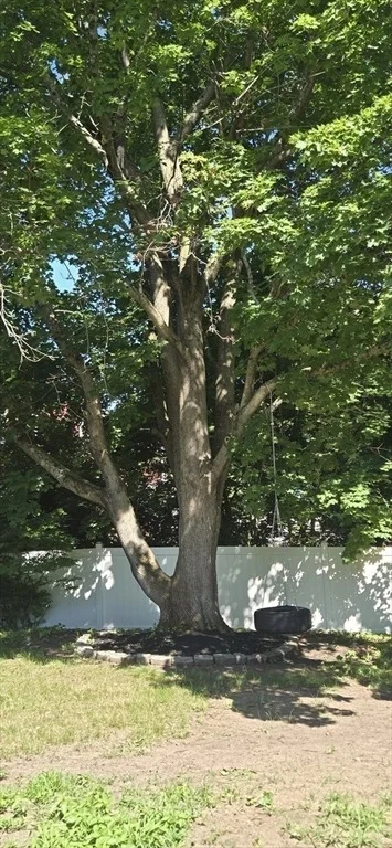 Photo of 38 Raven Rd
