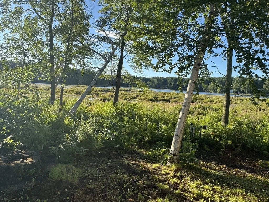 Photo of 52 Sandy Pond Rd