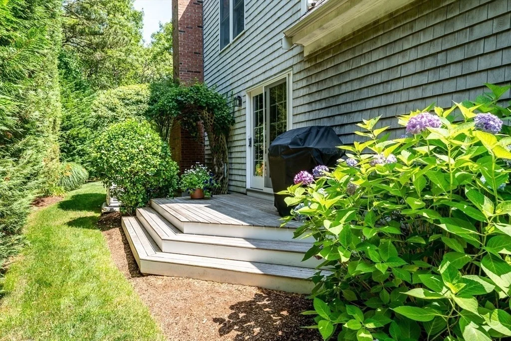 Photo of 8 Macandrew Dr