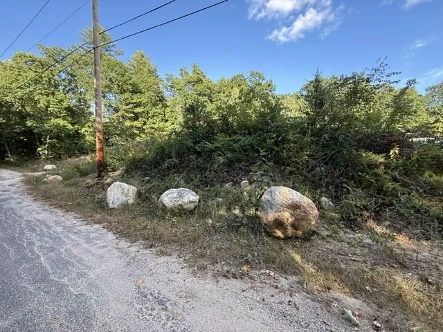 Photo of 0 Hardwick Pond Rd