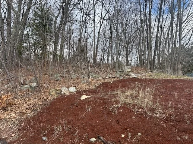 Photo of 73 Sand St