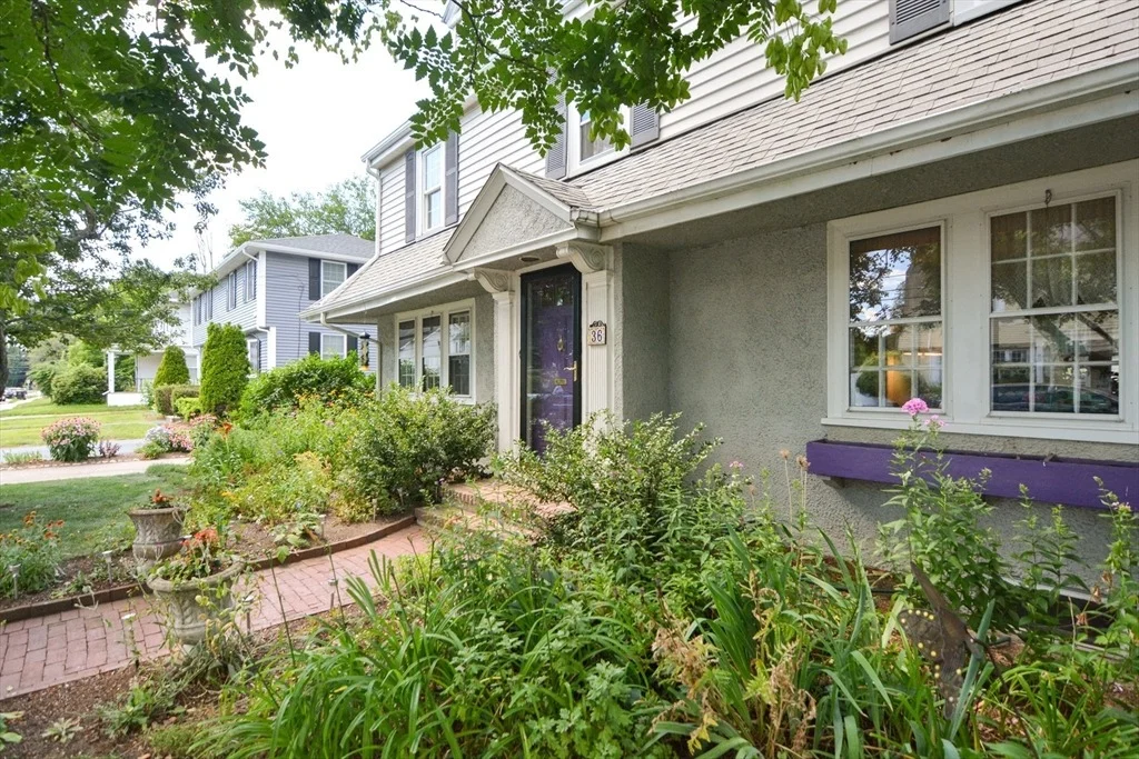 Photo of 36 Nelson Street