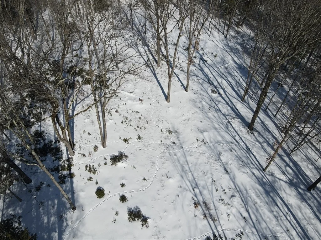 Photo of 0 Fox Hill Rd