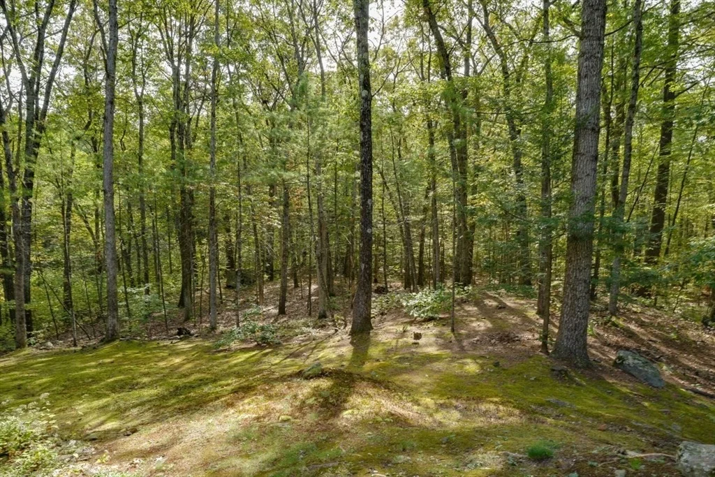 Photo of 18 Bay Path Dr