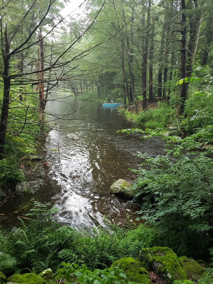Photo of 12 Point Eastalee Drive