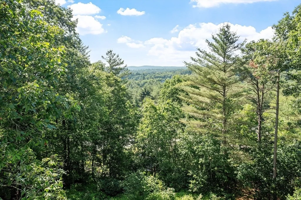 Photo of 35 Philip Rd