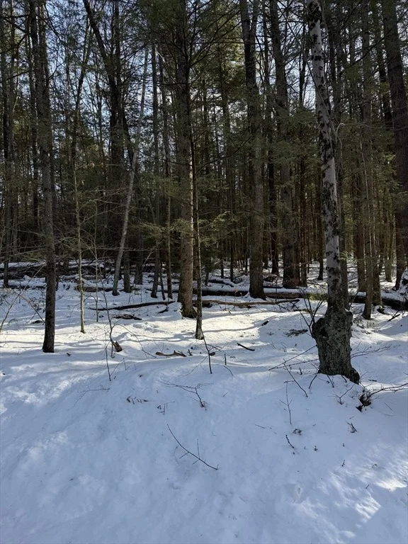 Photo of 0 Four Mile Brook Rd