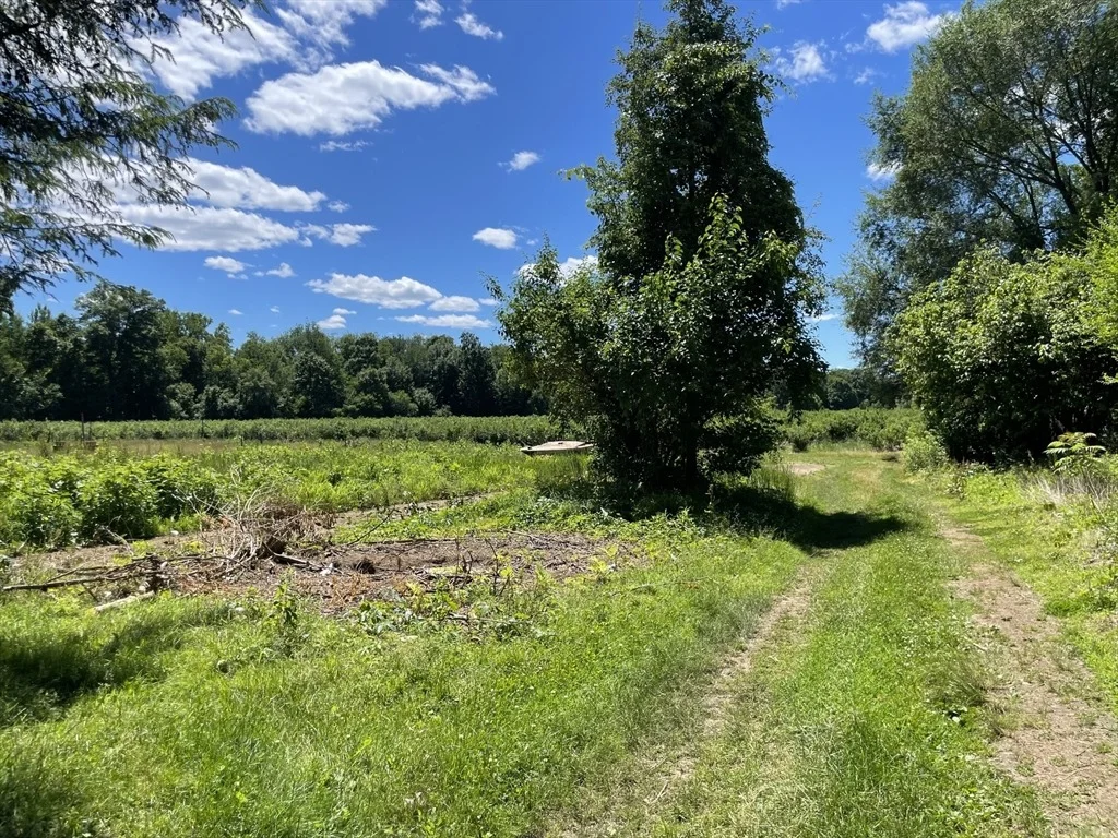Photo of 239 River Road