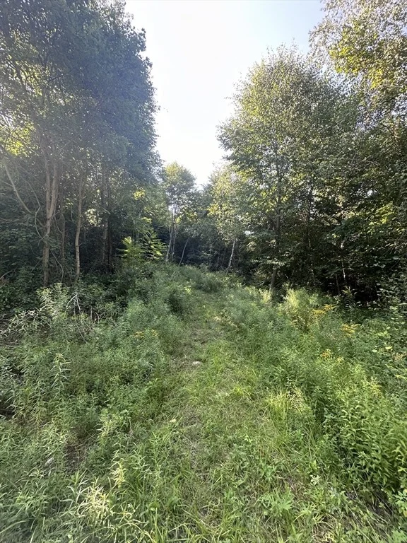 Photo of Lot 1 Brimfield Road