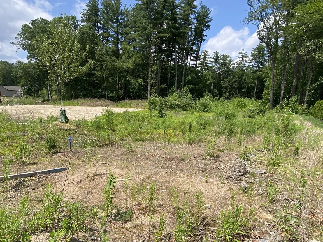 Photo of 11 Silvergrass Lane