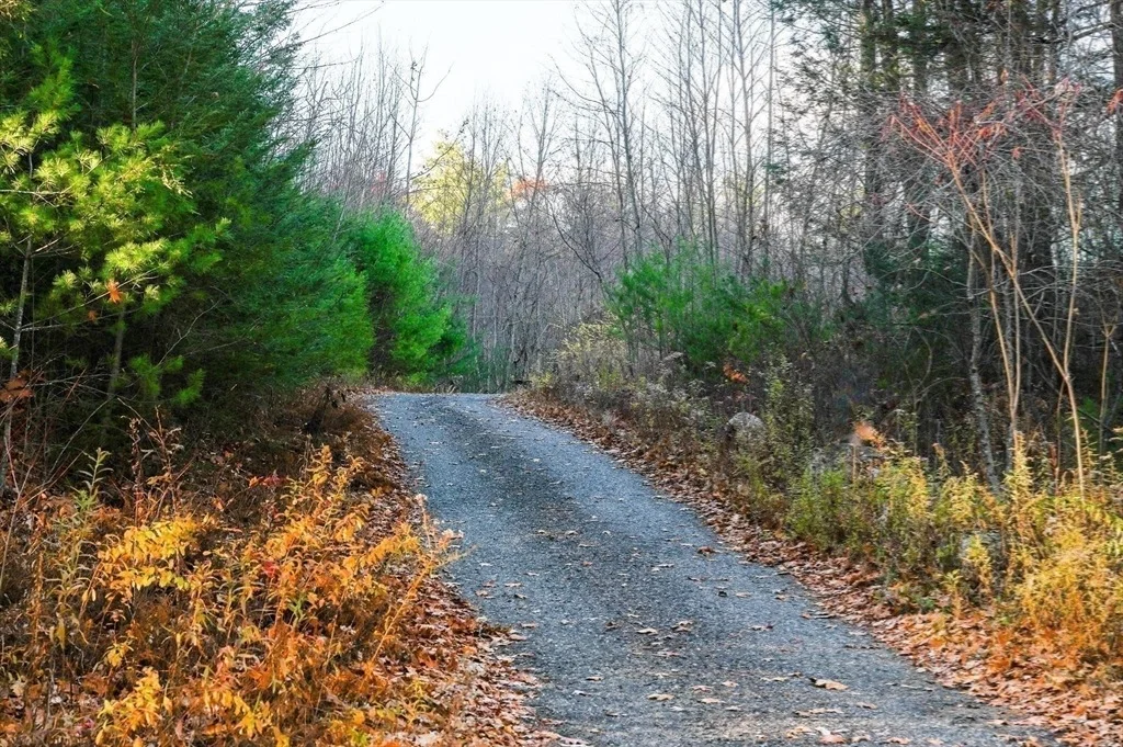 Photo of 23 Dana Rd