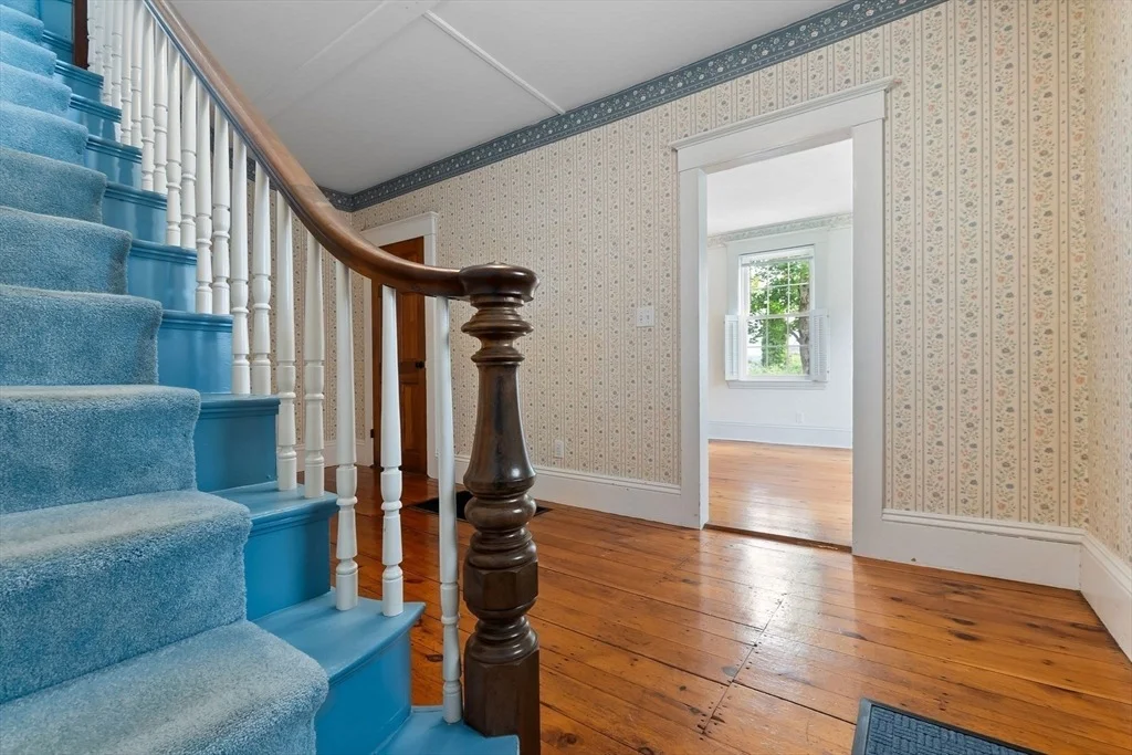Photo of 7 Martin Street
