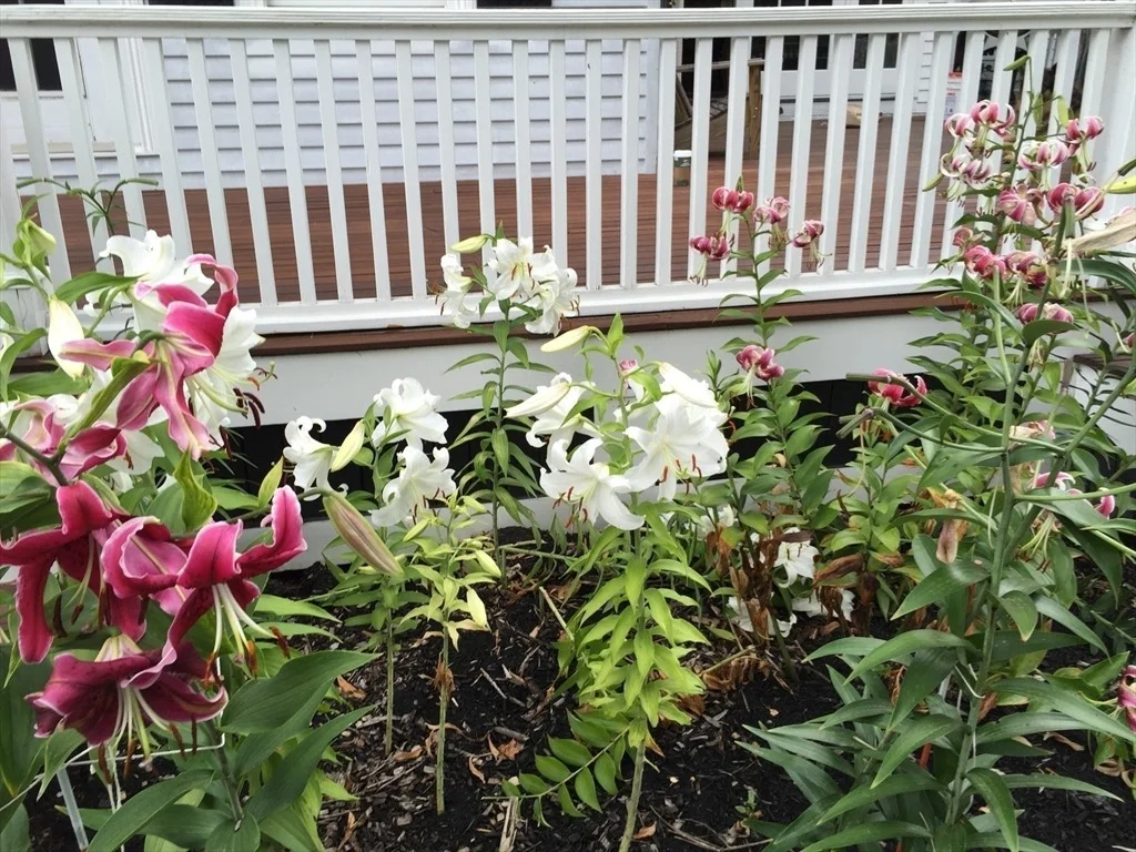 Photo of 25 Fairhaven Rd