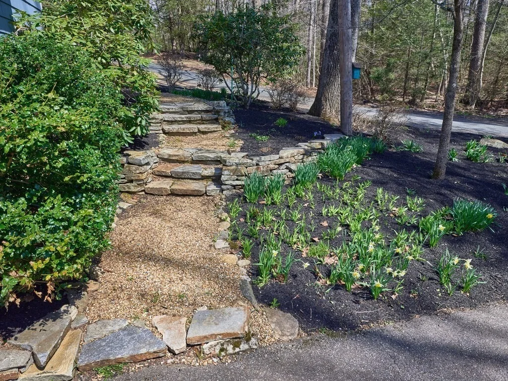 Photo of 19 Bennetts Rd