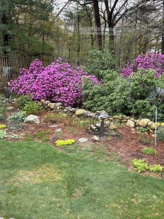 Photo of 26 Lothrop Road