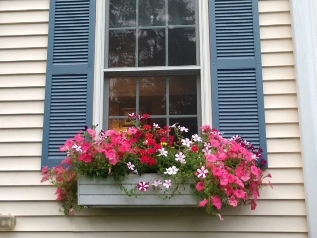 Photo of 78 Milford St
