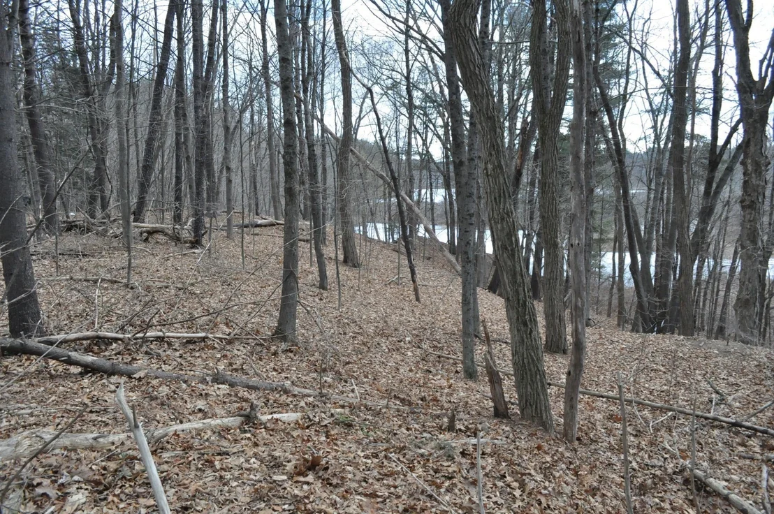 Photo of 1010 Ryan Rd