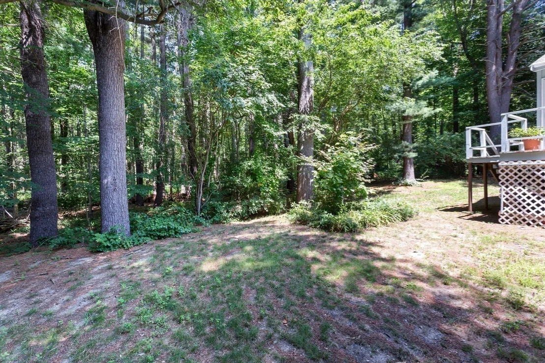 Photo of 170 David Rd