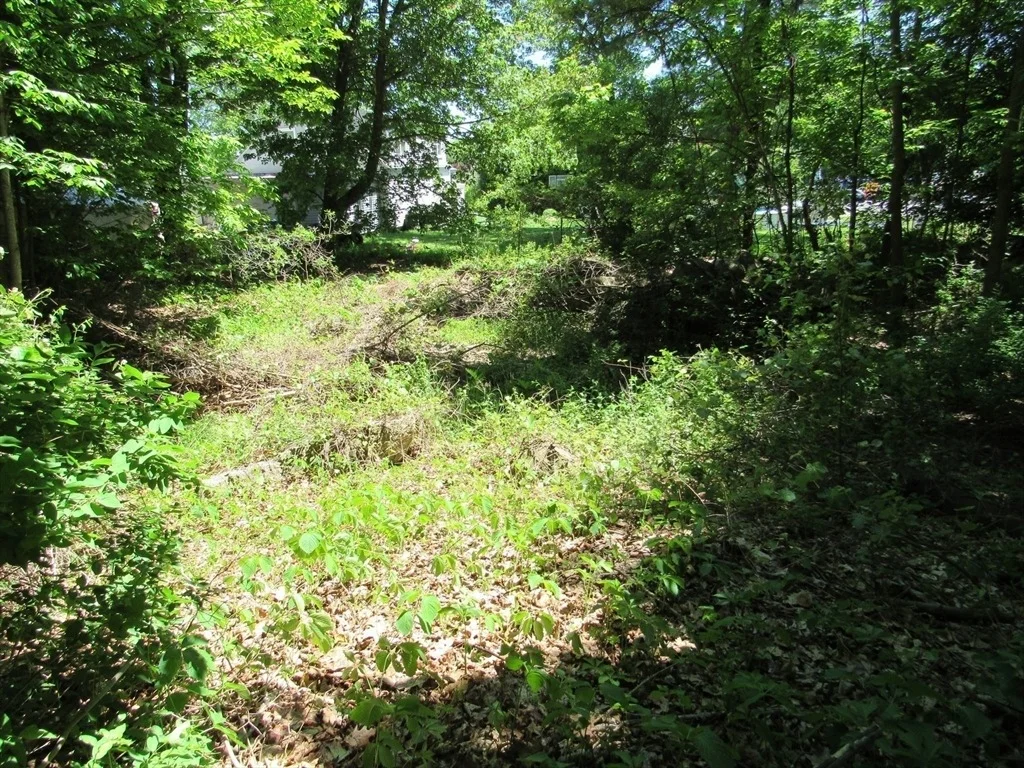 Photo of Lot 6.2 Gardner Road
