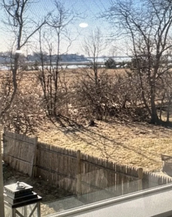 Photo of 67 Newport Rd