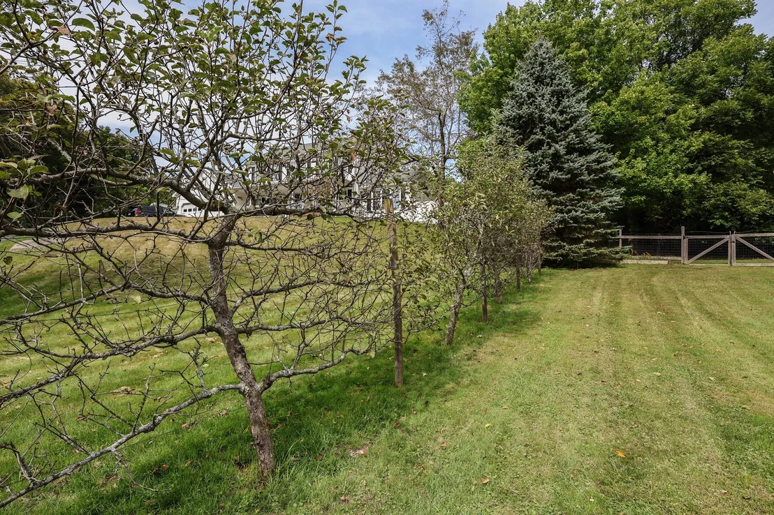 Photo of 162 Jackson