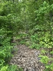 Photo of 32 Spring