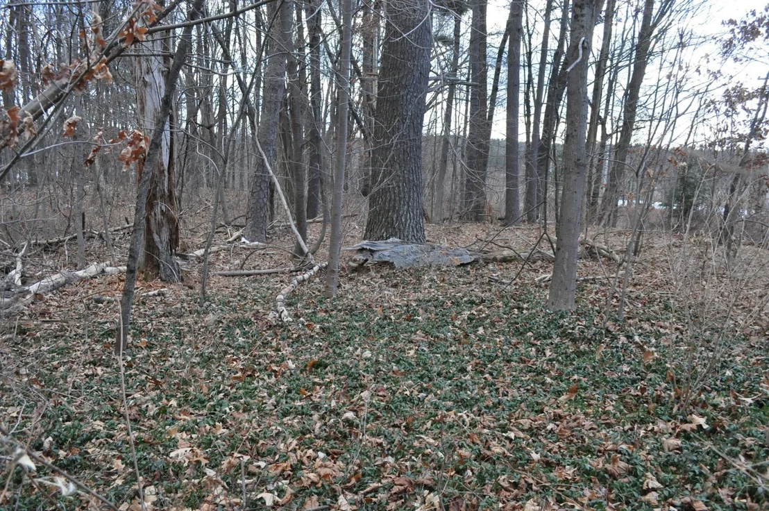 Photo of 1010 Ryan Rd