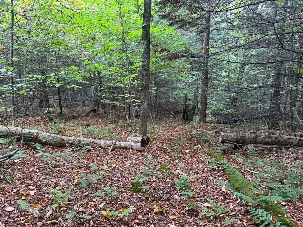 Photo of 60 Stone Hill Road
