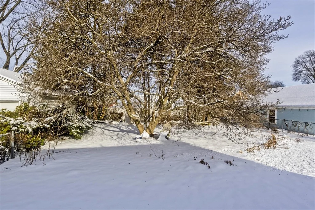 Photo of 46-52 Maplewood Avenue