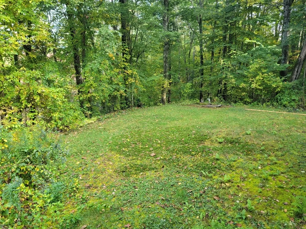 Photo of 64 Garfield Rd
