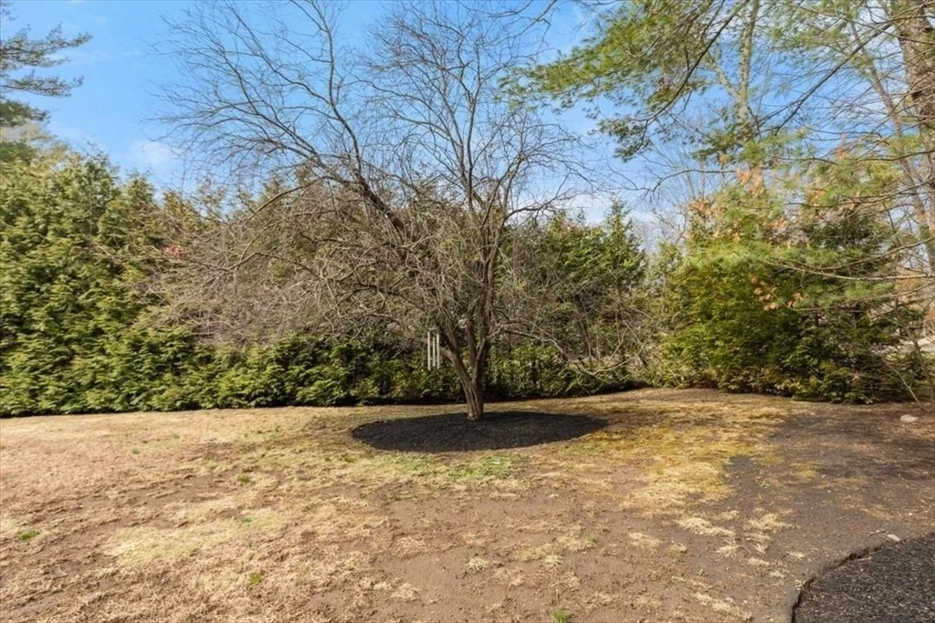 Photo of 233 Ward Street