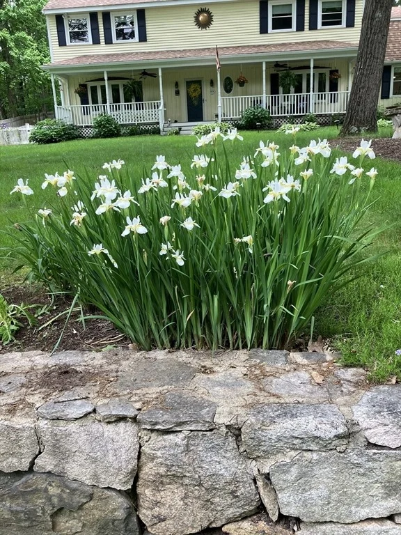 Photo of 89 Thomas Road