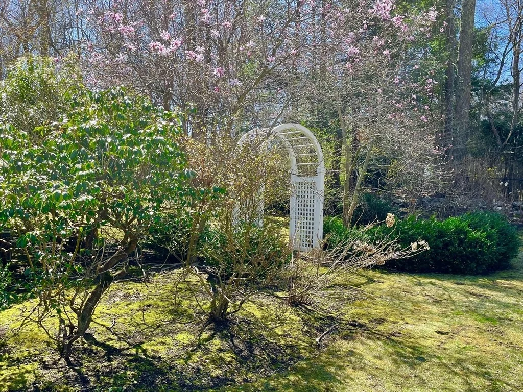Photo of 51 Saxon Road